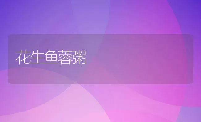 花生鱼蓉粥 | 养殖资讯