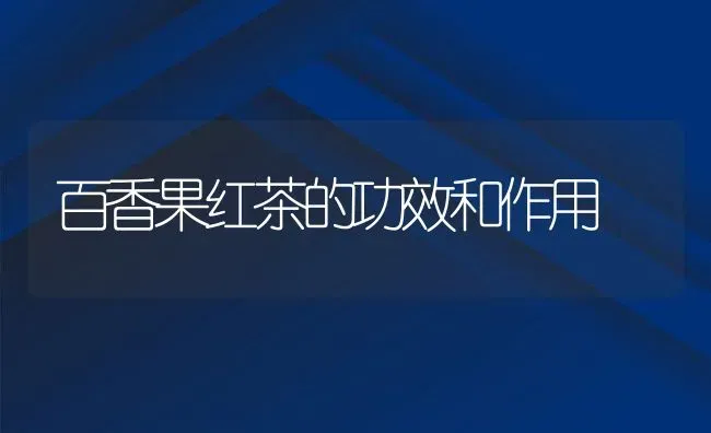 百香果红茶的功效和作用 | 养殖资料投稿