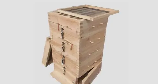 中蜂格子箱好不好养