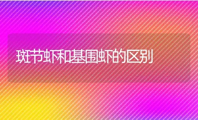 斑节虾和基围虾的区别 | 养殖资料投稿