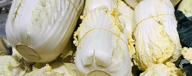 白菜细菌性软腐病防治措施