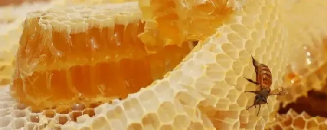 蜂蜜多少钱一斤才是真的？