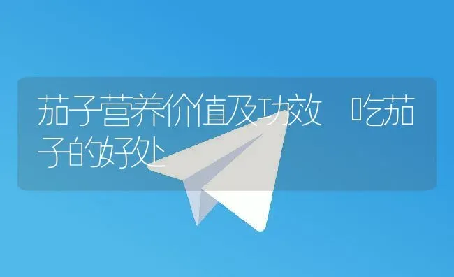 茄子营养价值及功效 吃茄子的好处 | 养殖资料投稿