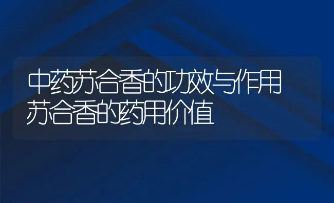 中药苏合香的功效与作用 苏合香的药用价值 | 养殖资料投稿