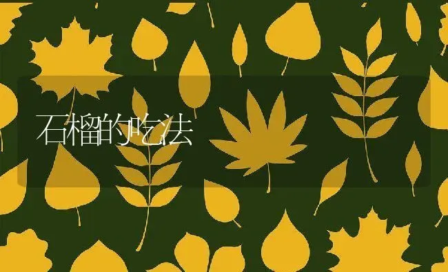 石榴的吃法 | 养殖资料投稿