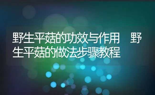 野生平菇的功效与作用 野生平菇的做法步骤教程 | 养殖资料投稿