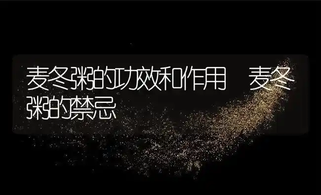 麦冬粥的功效和作用 麦冬粥的禁忌 | 养殖资讯