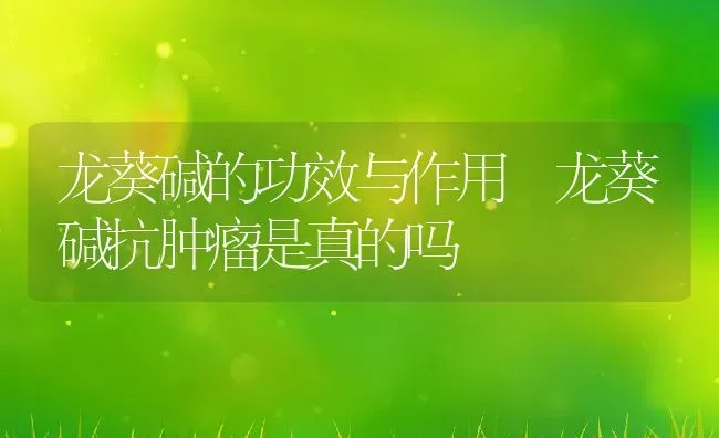地黄炭的功效与作用及禁忌 | 养殖资料投稿