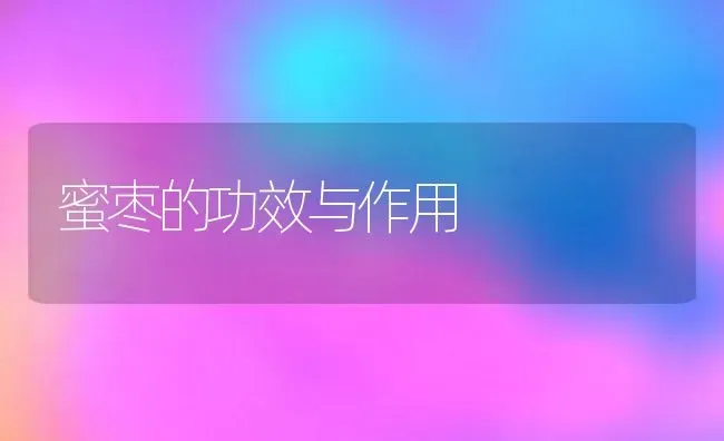 蜜枣的功效与作用 | 养殖资料投稿