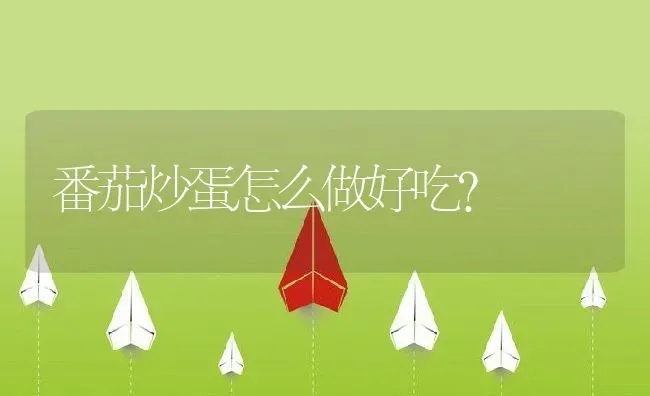 番茄炒蛋怎么做好吃？ | 养殖资料投稿