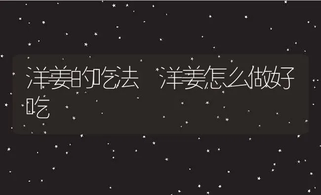 洋姜的吃法 洋姜怎么做好吃 | 养殖资料投稿