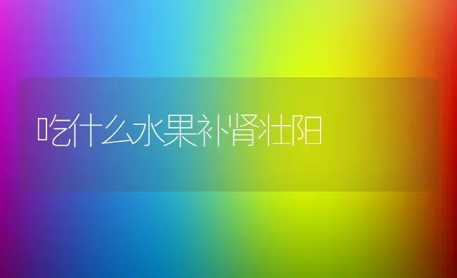 吃什么水果补肾壮阳 | 养殖资料投稿