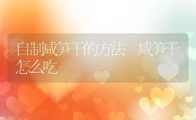 自制咸笋干的方法 咸笋干怎么吃 | 养殖资料投稿