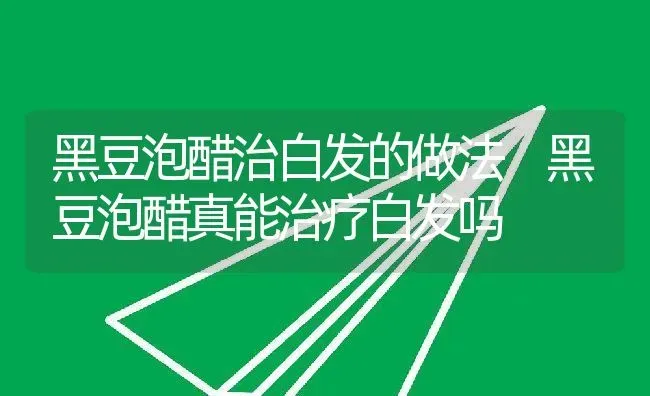 黑豆泡醋治白发的做法 黑豆泡醋真能治疗白发吗 | 养殖资料投稿