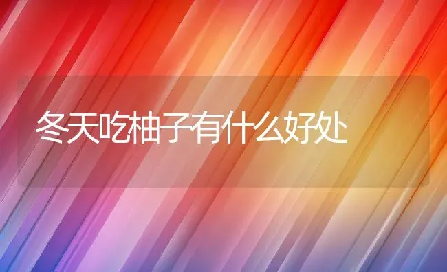 冬天吃柚子有什么好处 | 养殖资料投稿