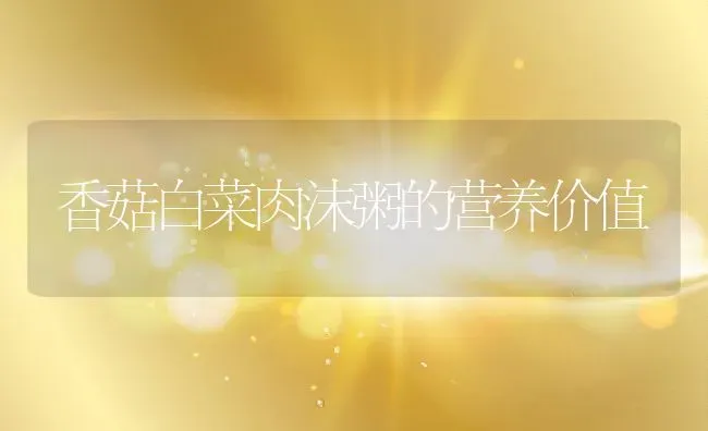 香菇白菜肉沫粥的营养价值 | 养殖资讯