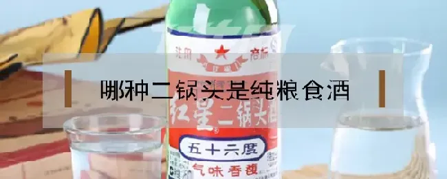 哪种二锅头是纯粮食酒