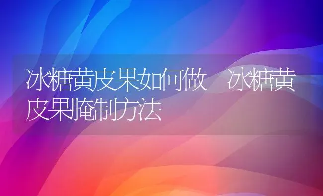 冰糖黄皮果如何做 冰糖黄皮果腌制方法 | 养殖资料投稿