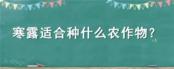 寒露适合种什么农作物