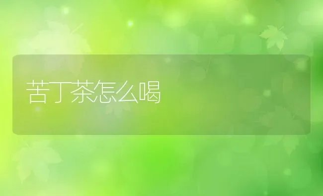 苦丁茶怎么喝 | 养殖资料投稿