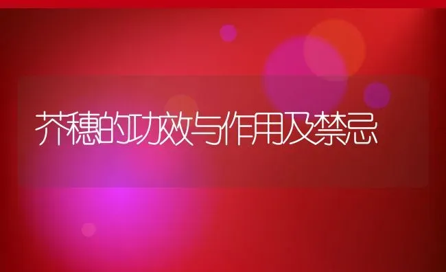 芥穗的功效与作用及禁忌 | 养殖资料投稿