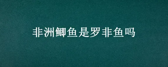 非洲鲫鱼是罗非鱼吗