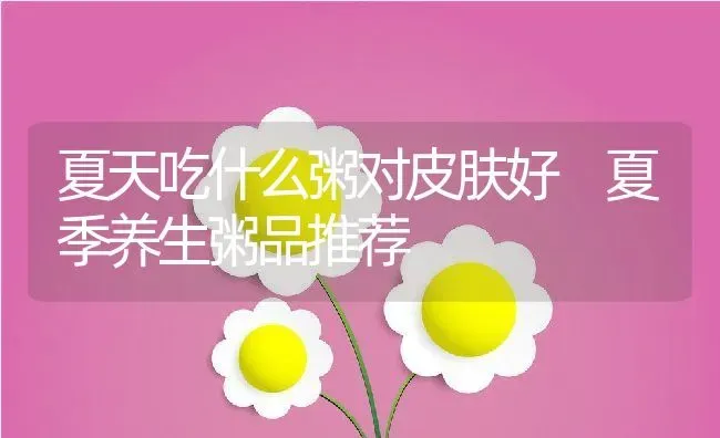 夏天吃什么粥对皮肤好 夏季养生粥品推荐 | 养殖资讯