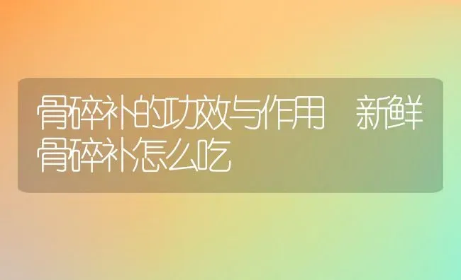 骨碎补的功效与作用 新鲜骨碎补怎么吃 | 养殖资料投稿