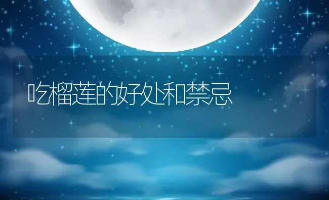 吃榴莲的好处和禁忌 | 养殖资料投稿