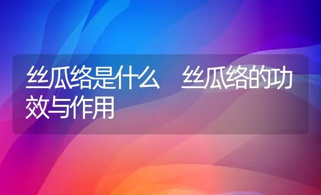 丝瓜络是什么 丝瓜络的功效与作用 | 养殖资料投稿