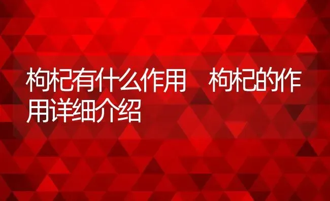 枸杞有什么作用 枸杞的作用详细介绍 | 养殖资料投稿