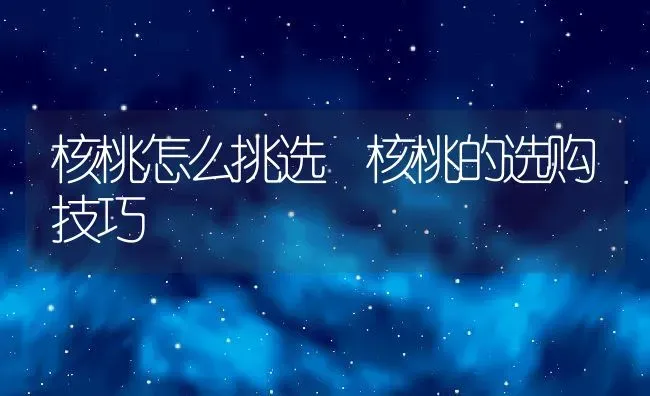 核桃怎么挑选 核桃的选购技巧 | 养殖资料投稿