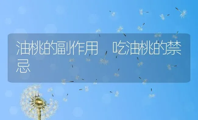 油桃的副作用 吃油桃的禁忌 | 养殖资料投稿