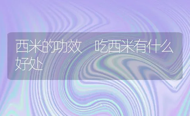 西米的功效 吃西米有什么好处 | 养殖资讯