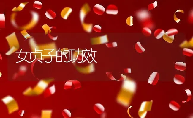 女贞子的功效 | 养殖资料投稿