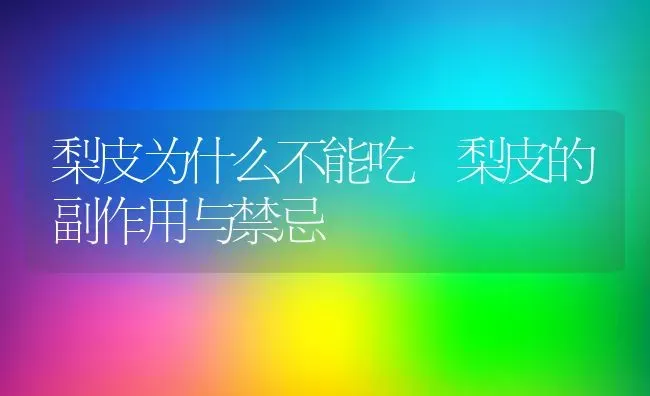 梨皮为什么不能吃 梨皮的副作用与禁忌 | 养殖资料投稿