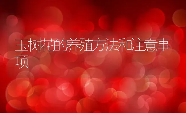 玉树花的养殖方法和注意事项 | 养殖资料投稿