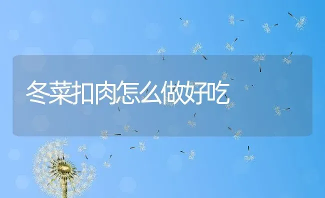 冬菜扣肉怎么做好吃 | 养殖资料投稿