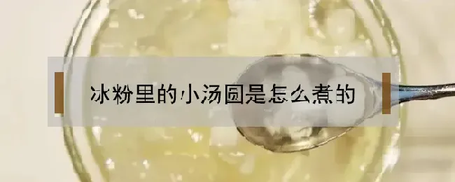 冰粉里的小汤圆是怎么煮的