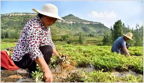 在农村卖什么需求量大？这些市场庞大的致富项目你都知道吗？ | 养殖什么赚钱