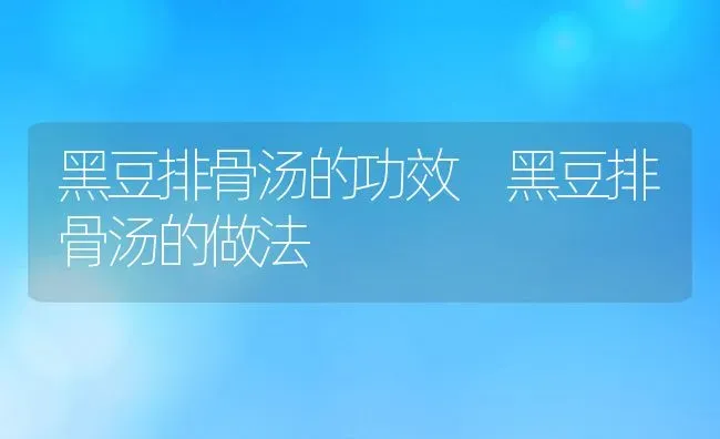 黑豆排骨汤的功效 黑豆排骨汤的做法 | 养殖资料投稿