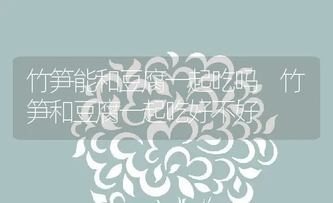 竹笋能和豆腐一起吃吗 竹笋和豆腐一起吃好不好 | 养殖资料投稿