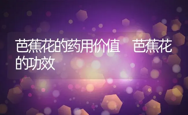 芭蕉花的药用价值 芭蕉花的功效 | 养殖资料投稿