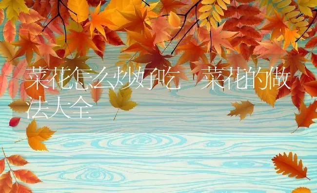 菜花怎么炒好吃 菜花的做法大全 | 养殖资料投稿