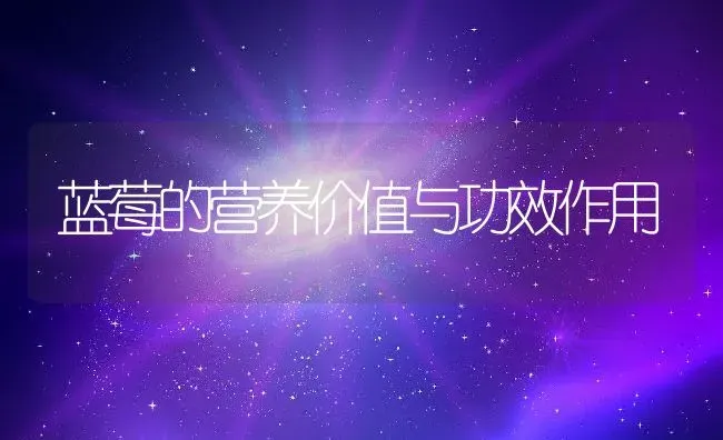 蓝莓的营养价值与功效作用 | 养殖资料投稿