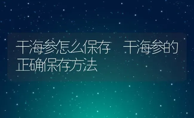 干海参怎么保存 干海参的正确保存方法 | 养殖资料投稿