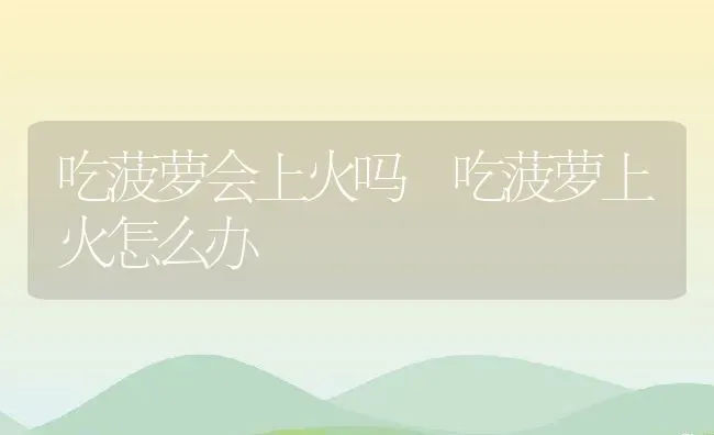 吃菠萝会上火吗 吃菠萝上火怎么办 | 养殖资料投稿