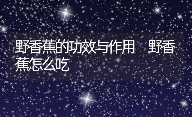 野香蕉的功效与作用 野香蕉怎么吃 | 养殖资料投稿