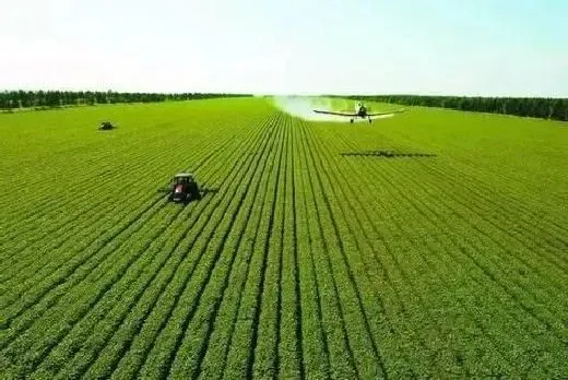 种植前景|承包1000亩土地种粮食赚钱吗（农村承包土地种粮食利润）