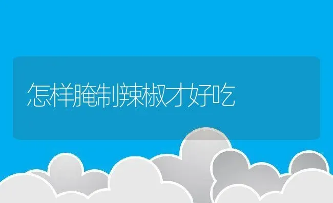 怎样腌制辣椒才好吃 | 养殖资料投稿